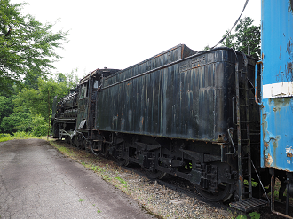 P6261542_thumb.png