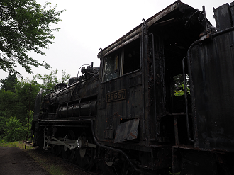 P6261543_thumb.png