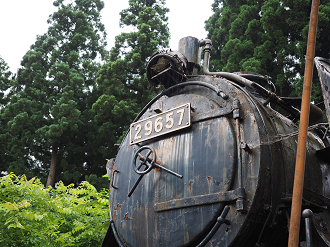 P6261545_thumb.png