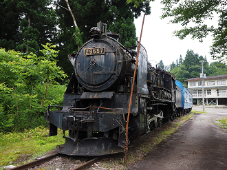 P6261549_thumb.png