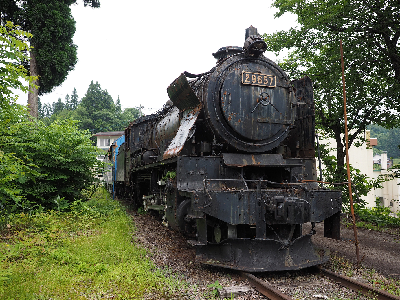 P6261554.jpg