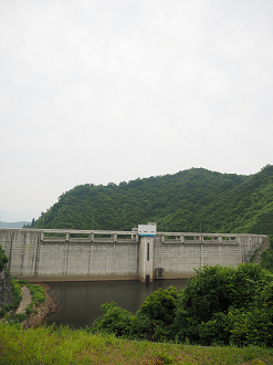 P6261564_thumb.png