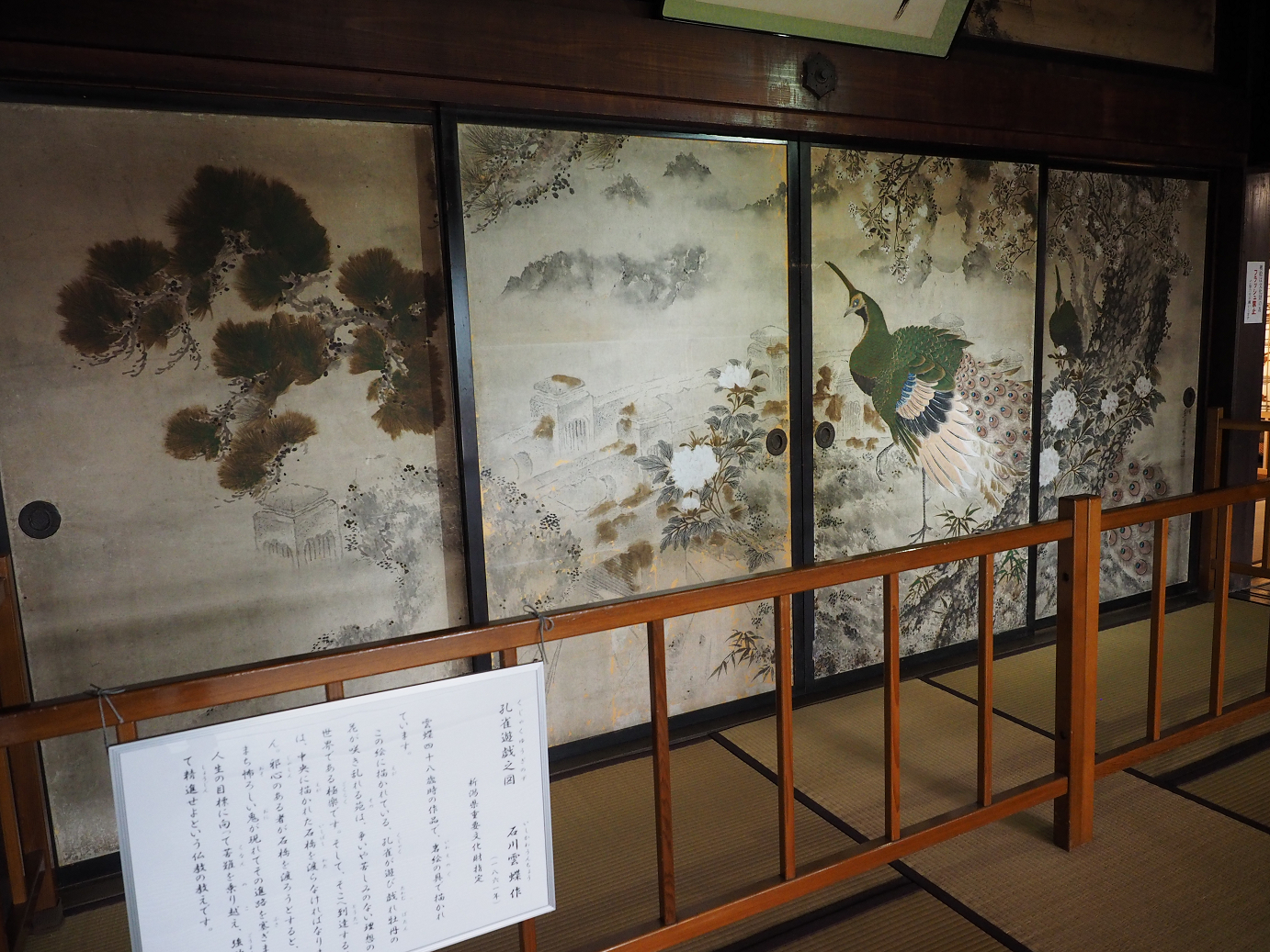 P6261587.jpg