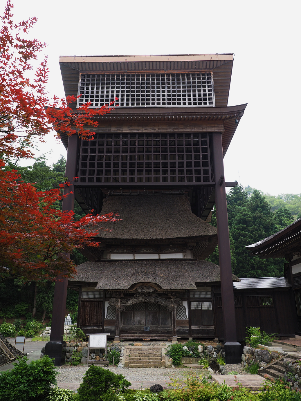 P6261625.jpg