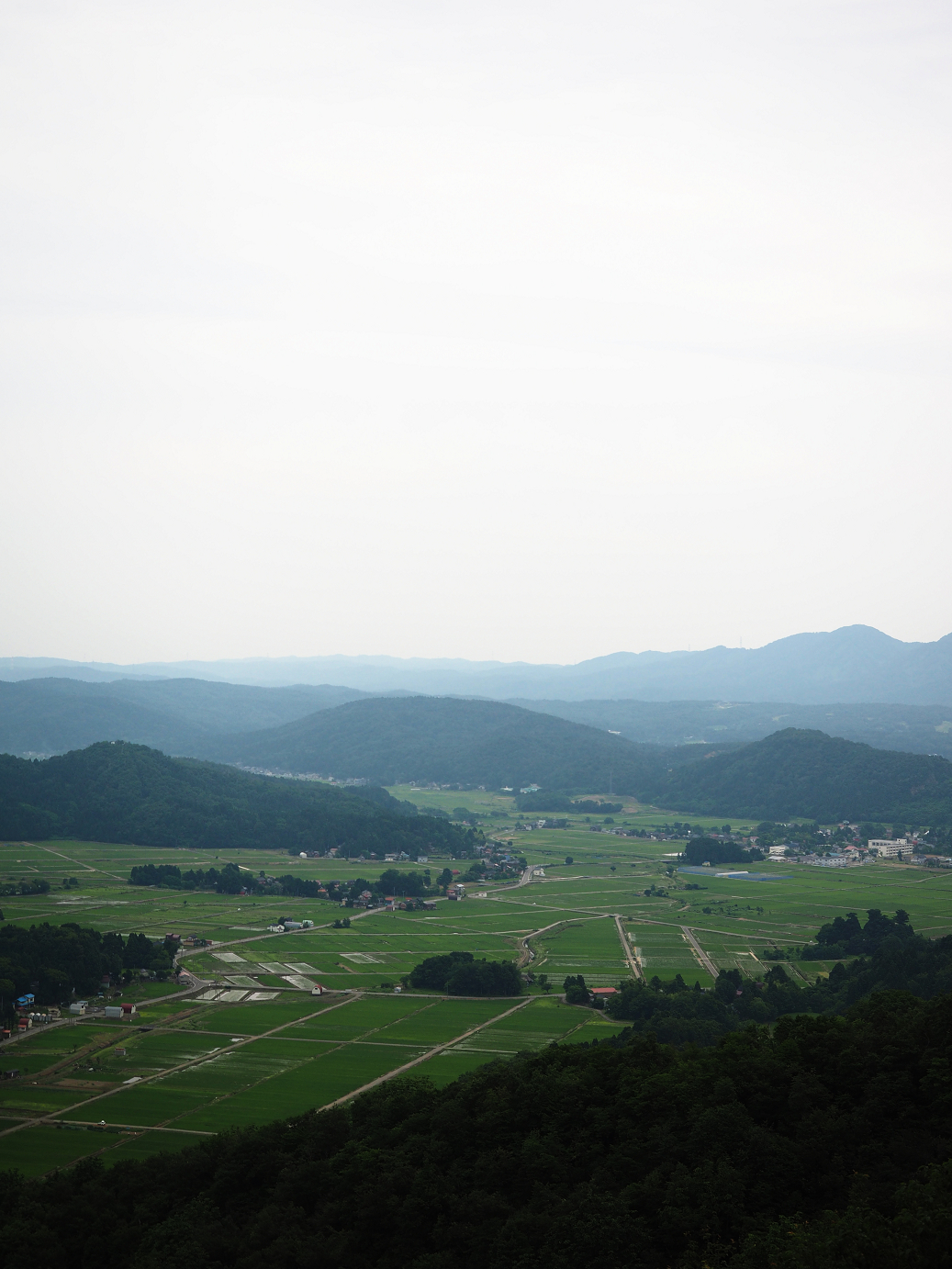 P6261641.jpg