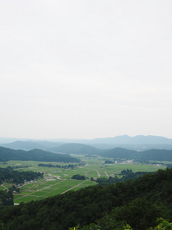 P6261645_thumb.png