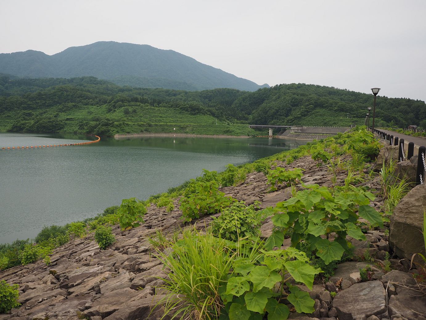 P6261652.jpg