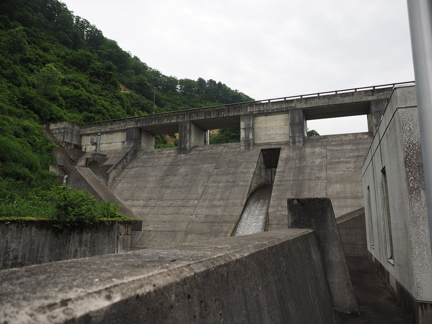 P6261660.jpg