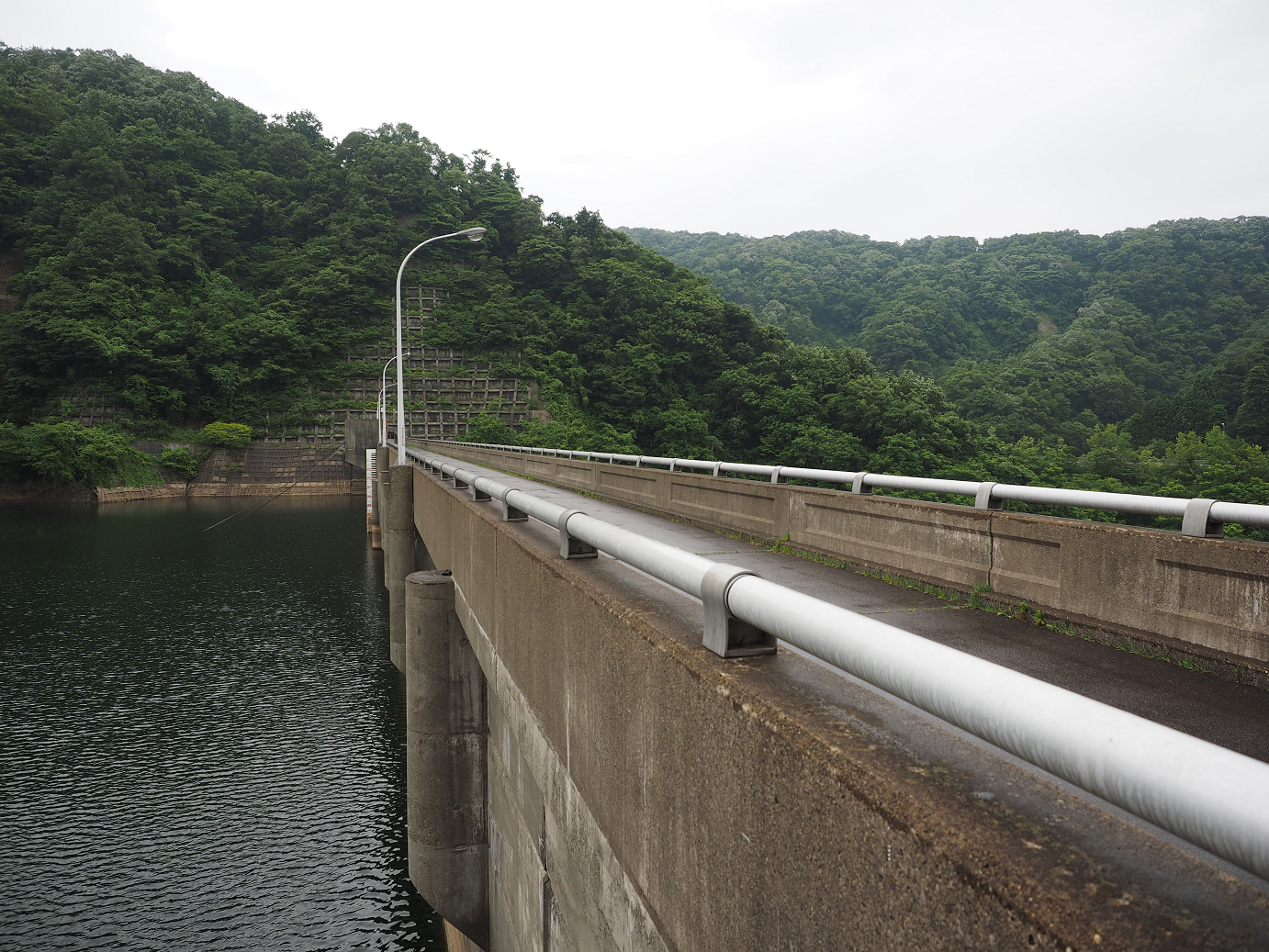 P6261666.jpg