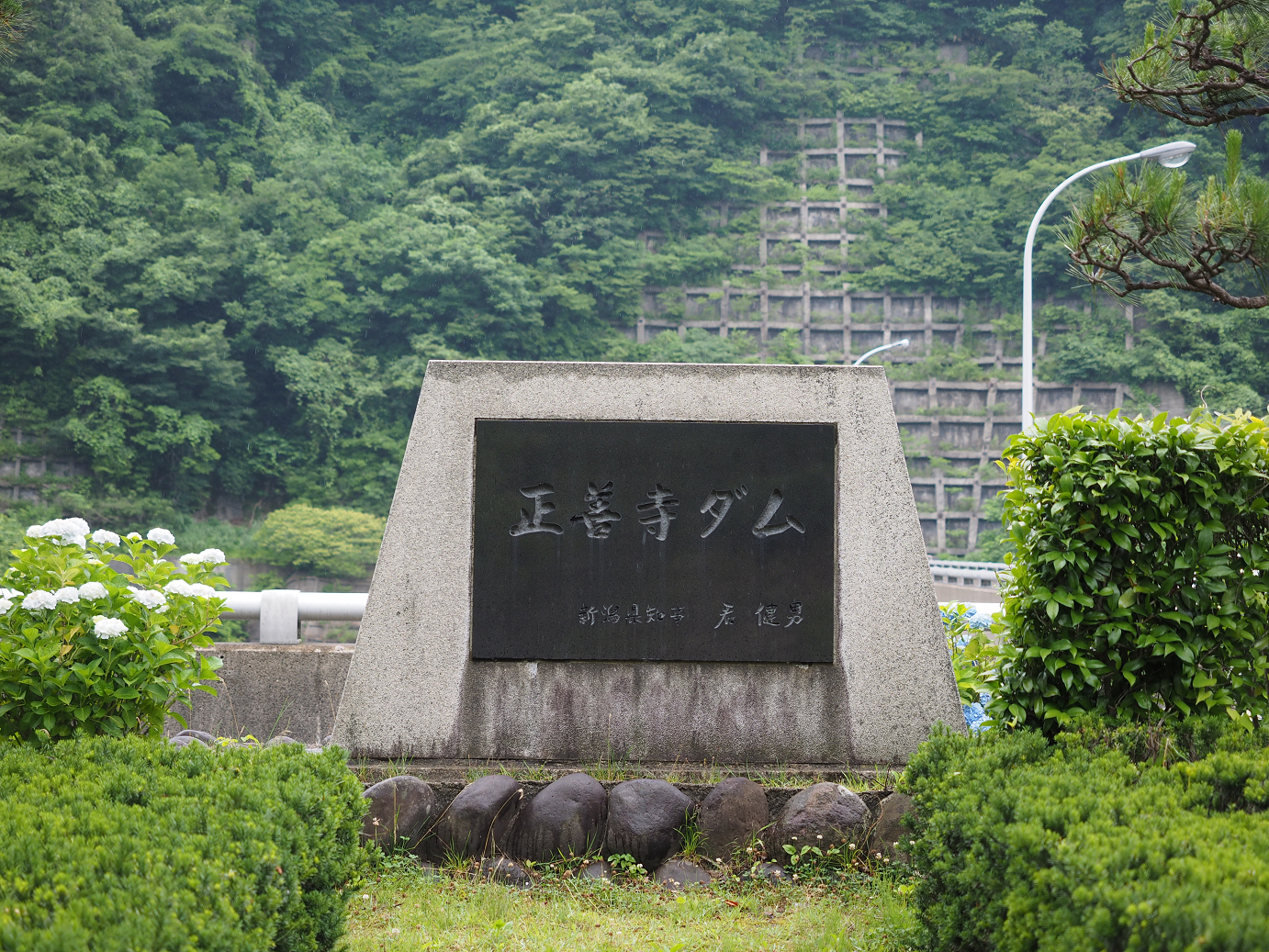 P6261688.jpg