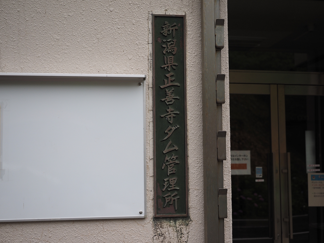 P6261689.jpg