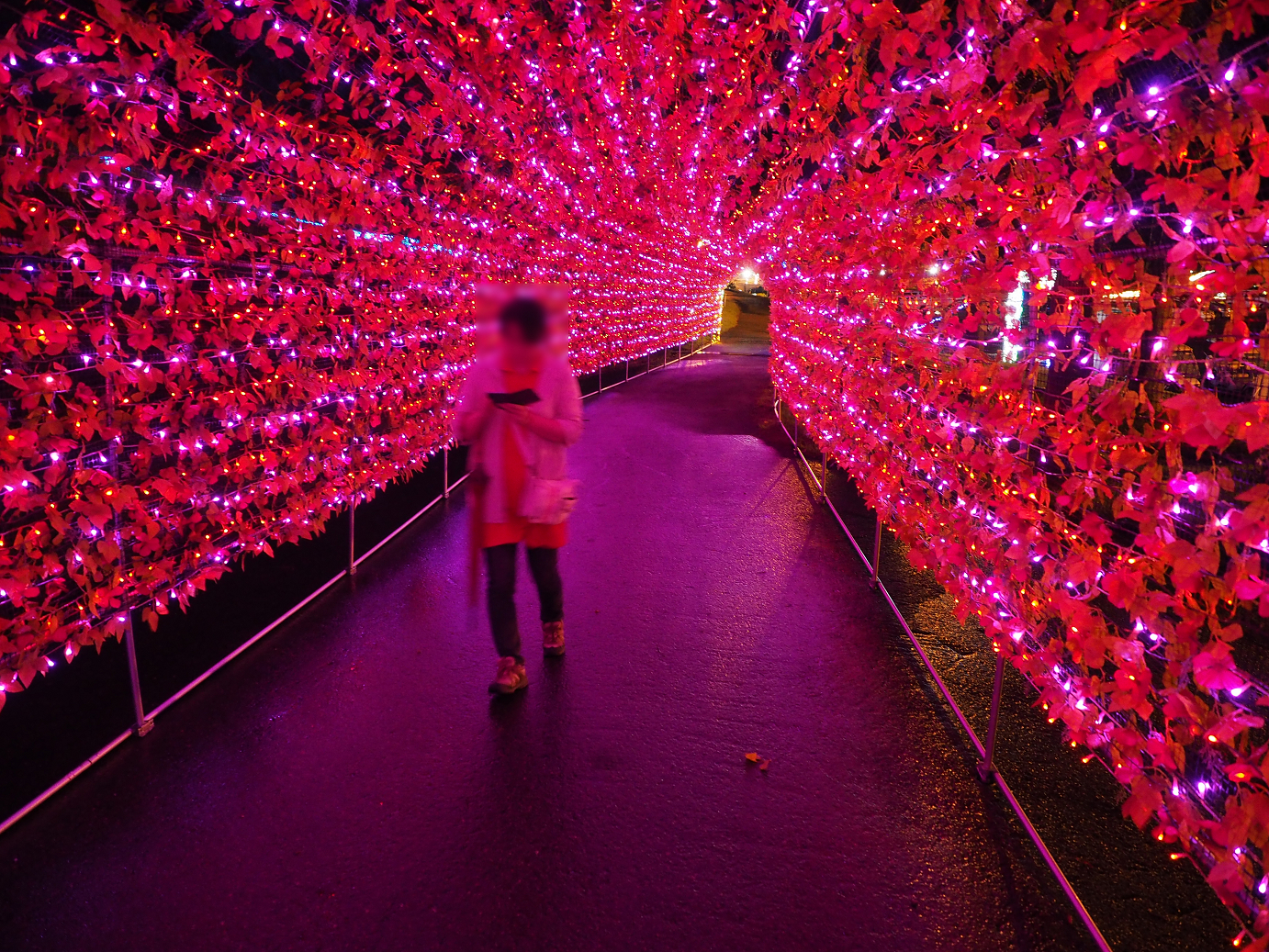 P6261725.jpg