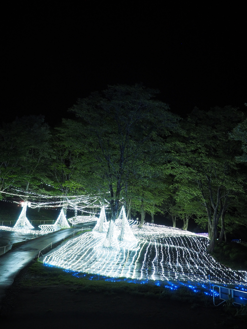 P6261886.jpg