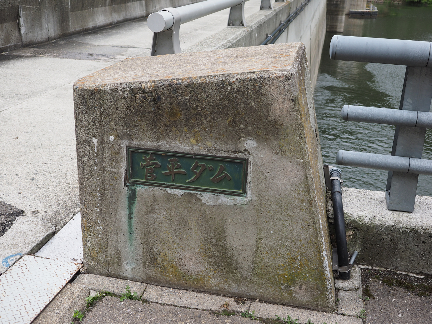 P6271910.jpg