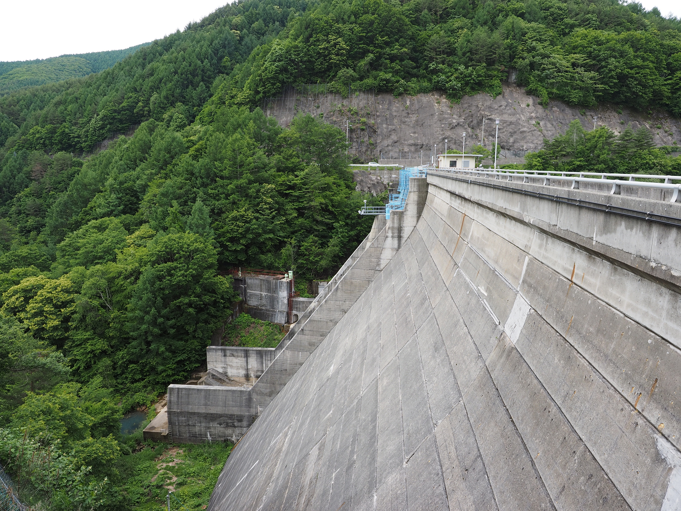 P6271915.jpg