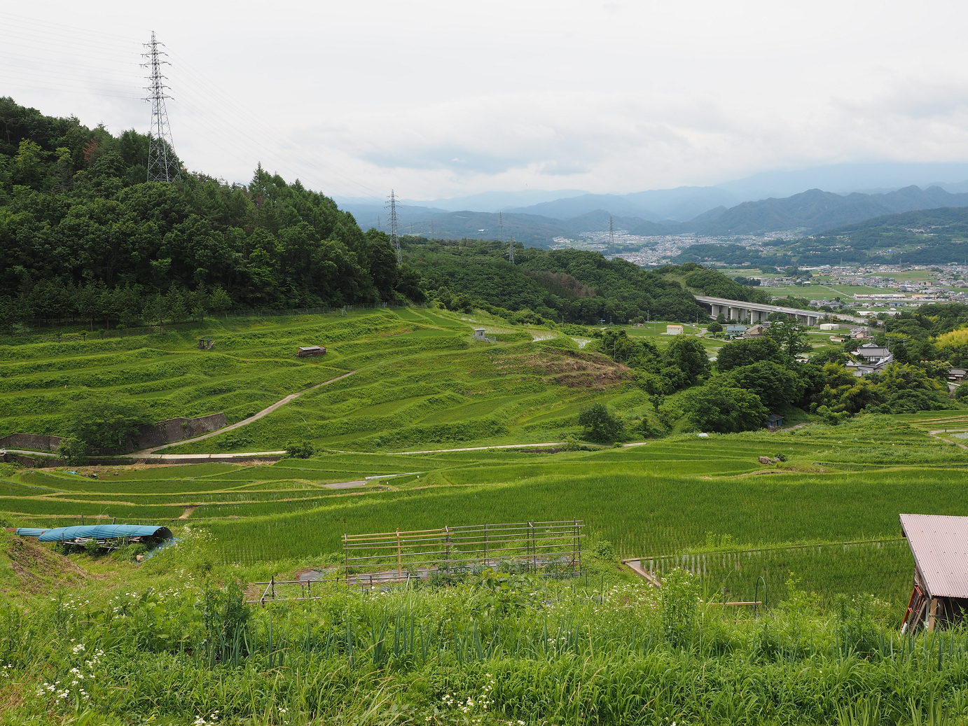 P6271920.jpg