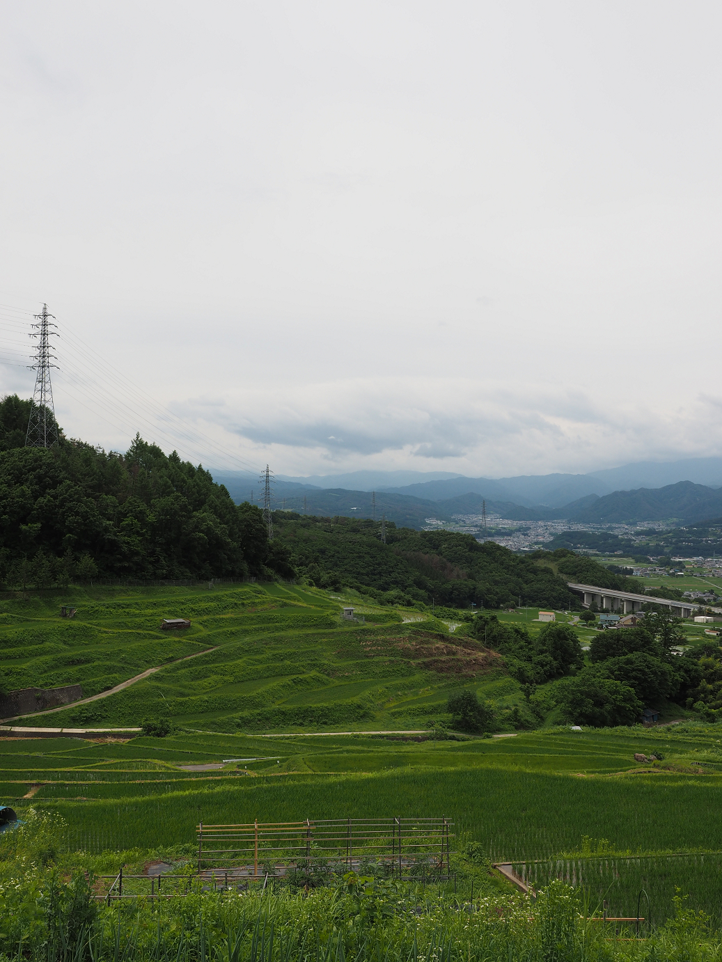 P6271921.jpg