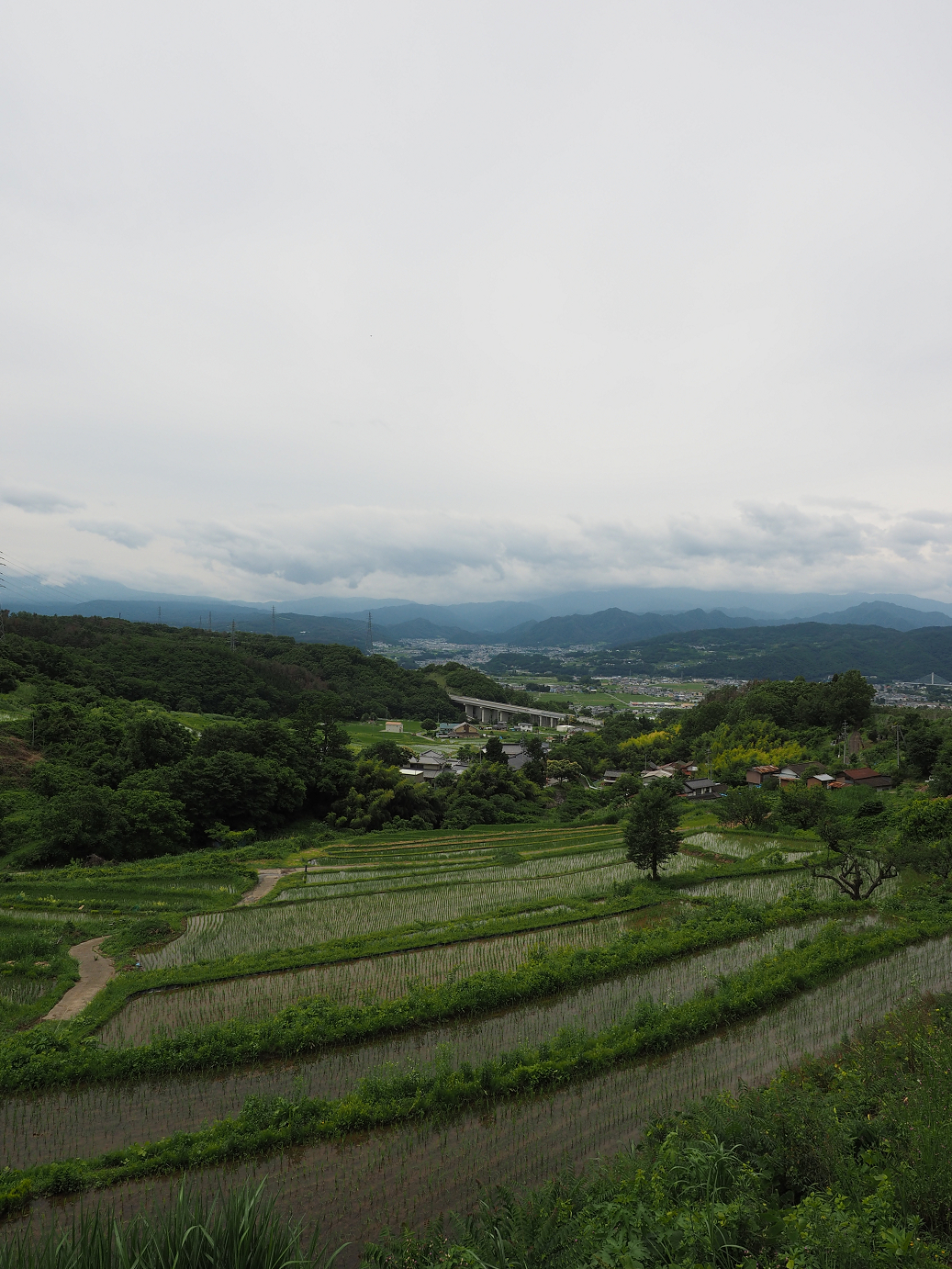 P6271932.jpg