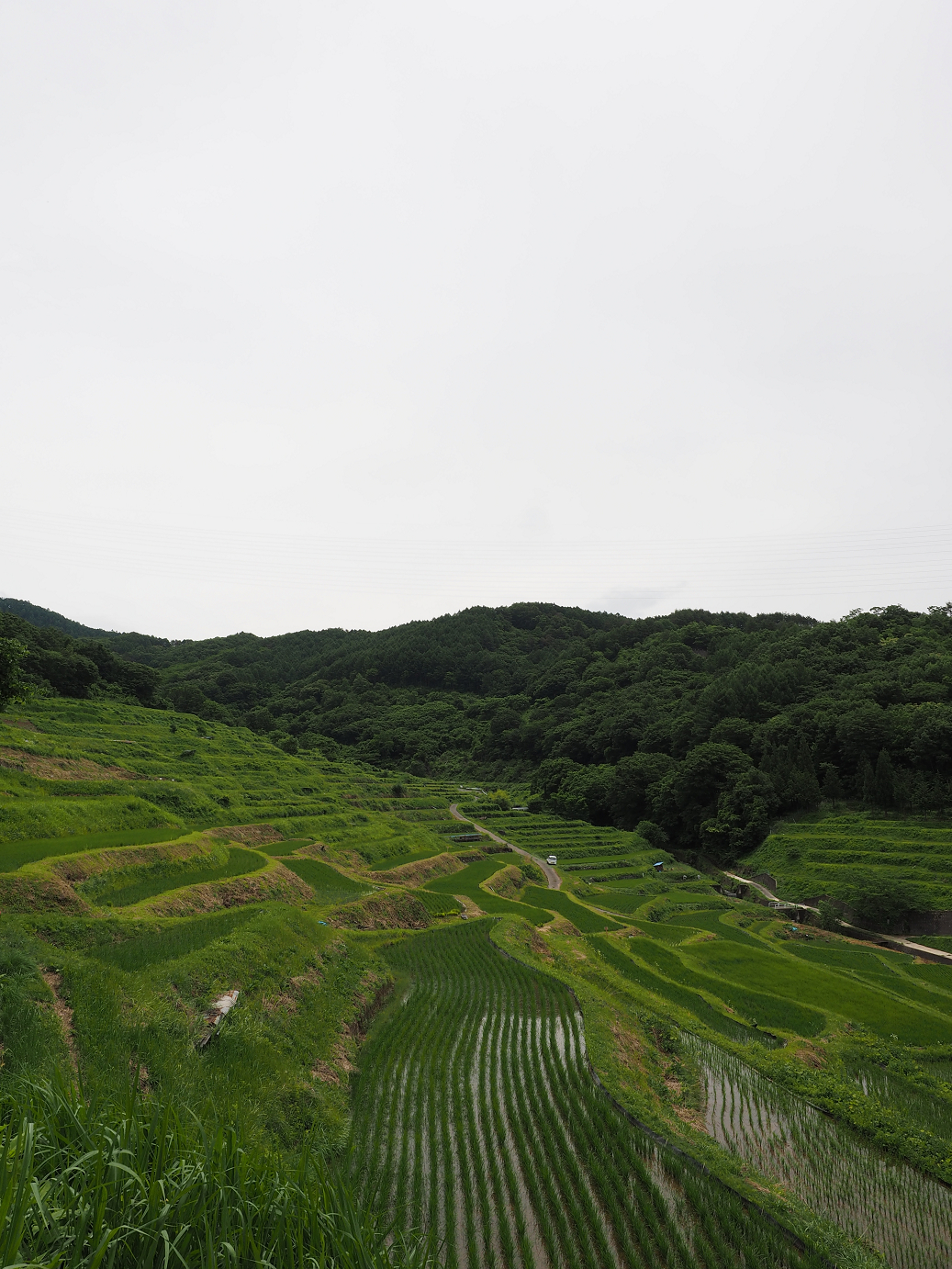 P6271933.jpg