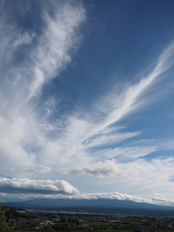 P6271956_thumb.png