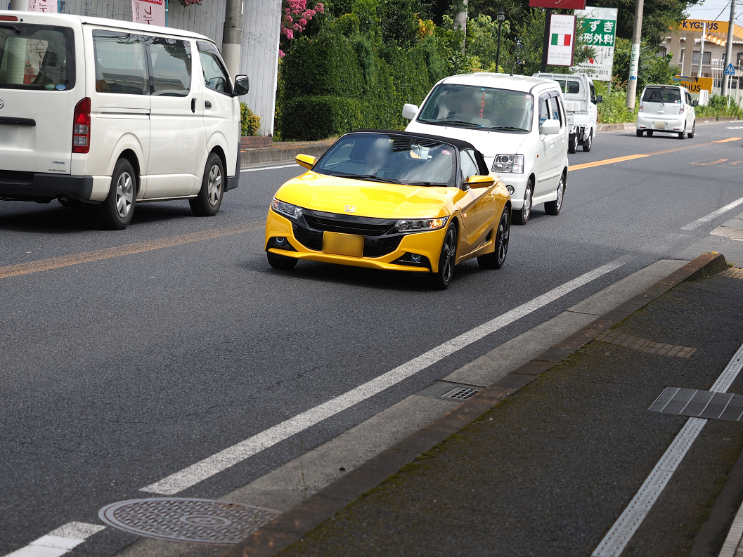 P8100120.jpg