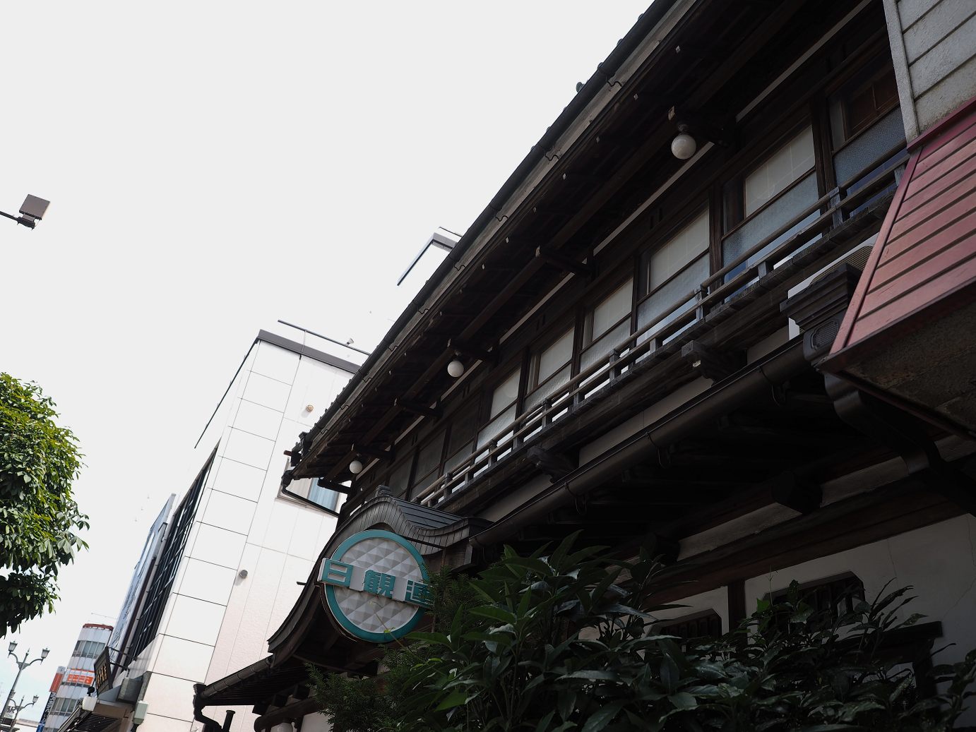 P8100137.jpg