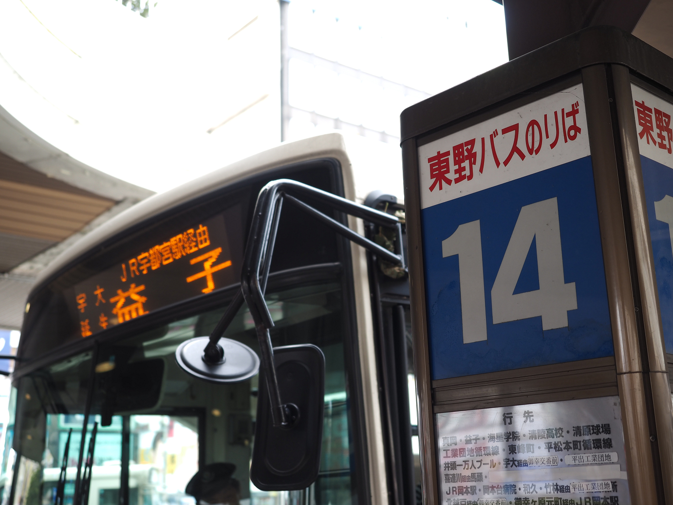 P8100159.jpg