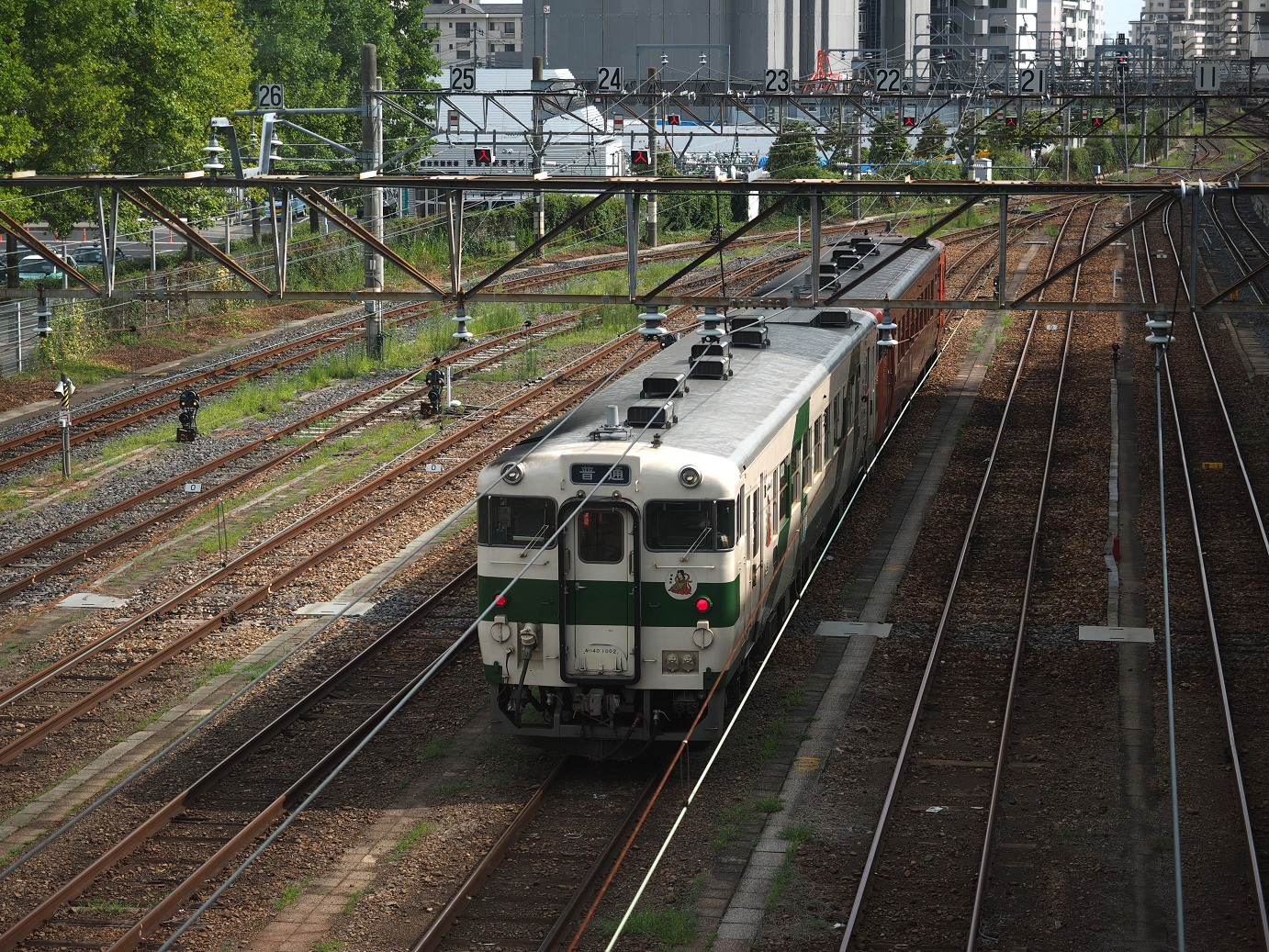 P8100168.jpg