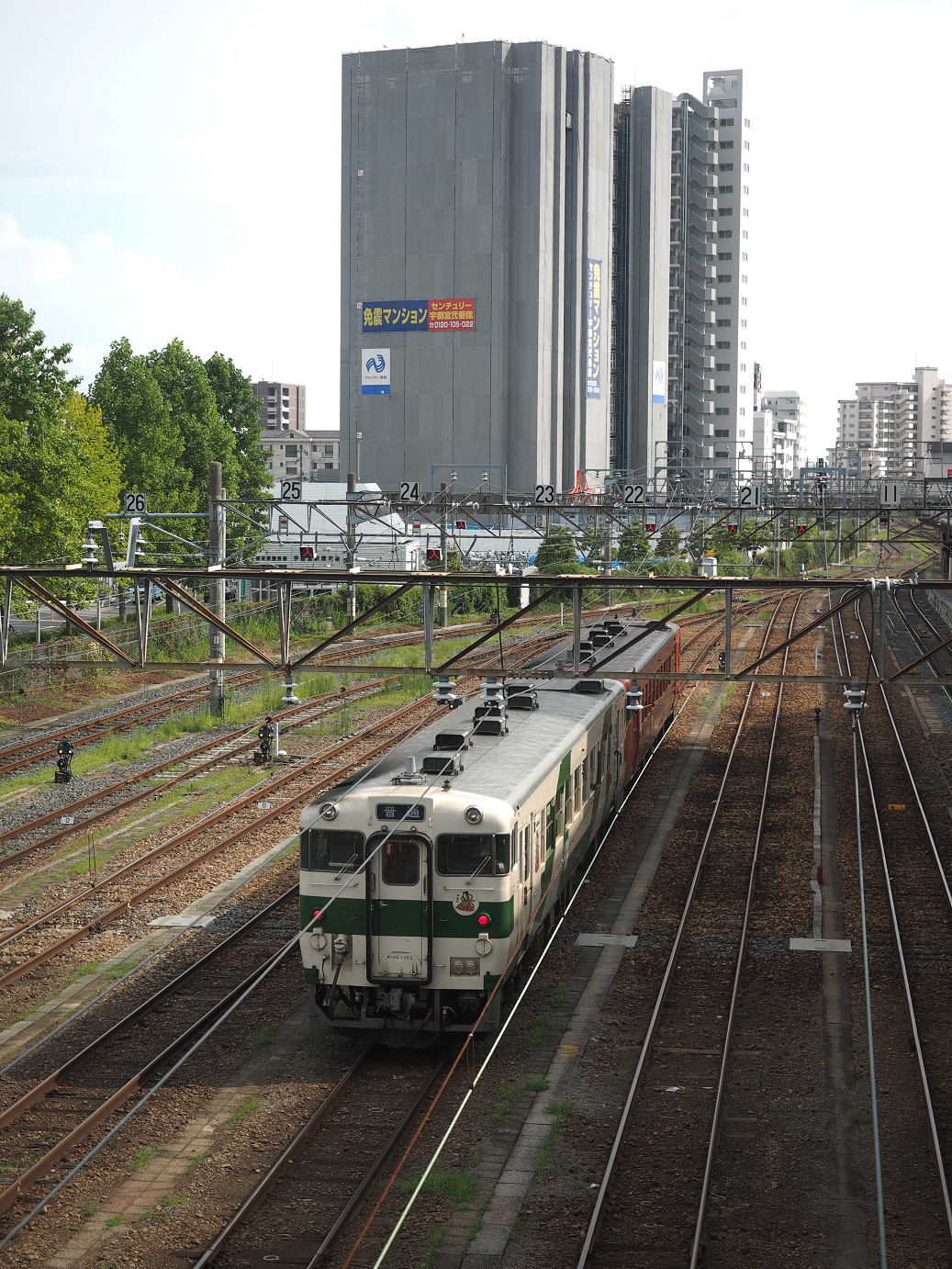 P8100169.jpg
