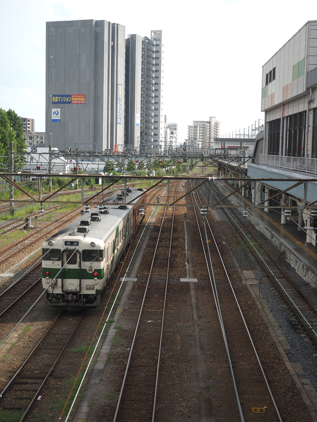 P8100171.jpg