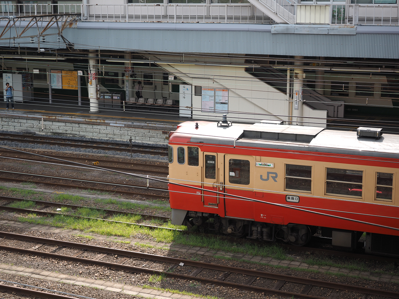 P8100177.jpg