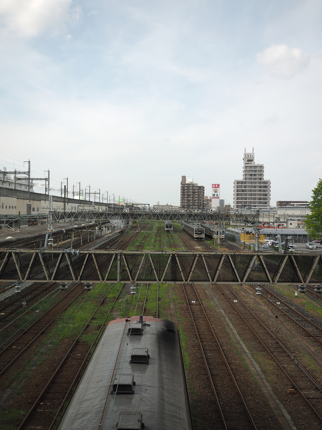 P8100203.jpg
