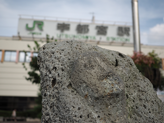 P8100217_thumb.png