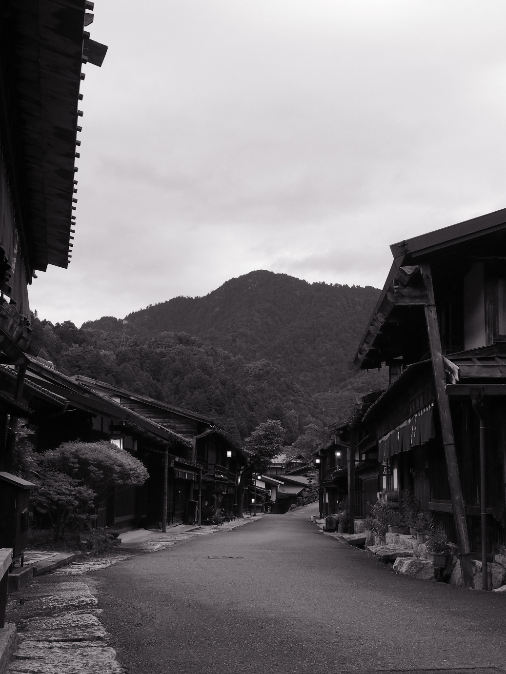 P8260051.jpg