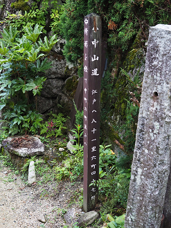 P8260075_thumb.png