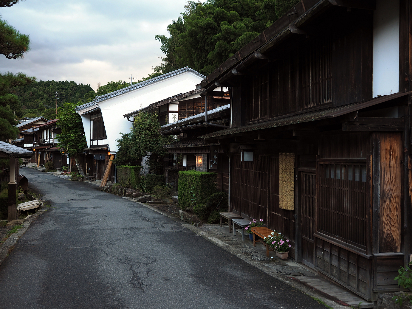 P8260110.jpg