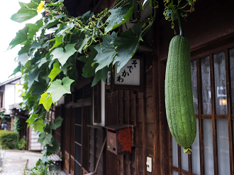 P8260143_thumb.png