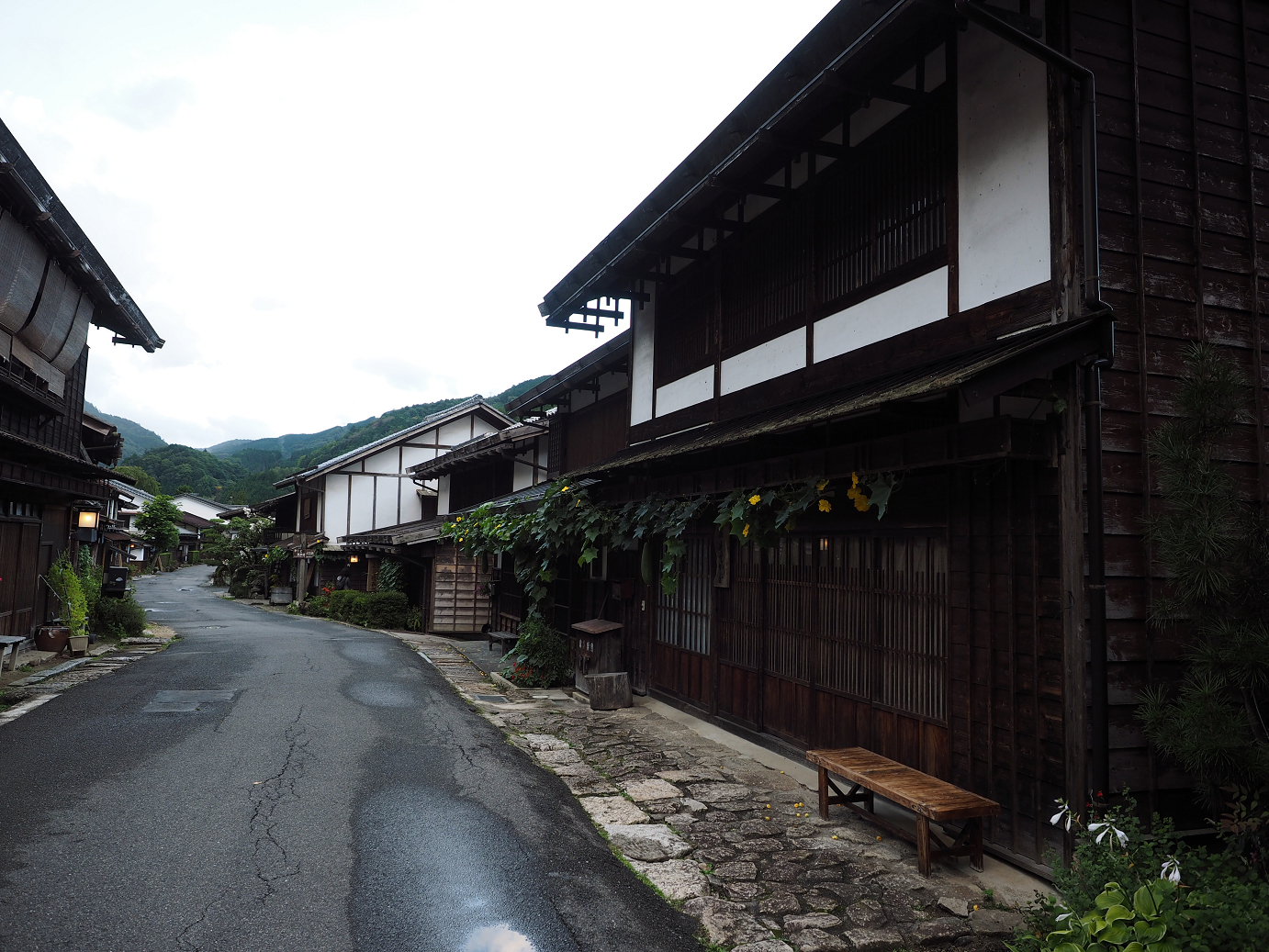 P8260145.jpg