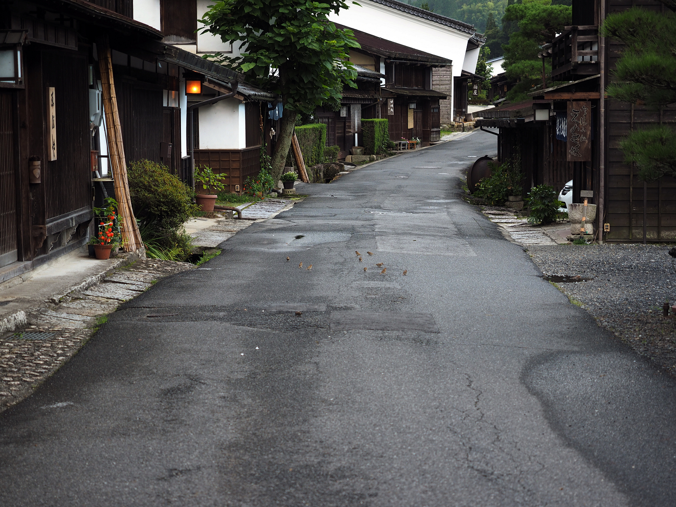 P8260152.jpg