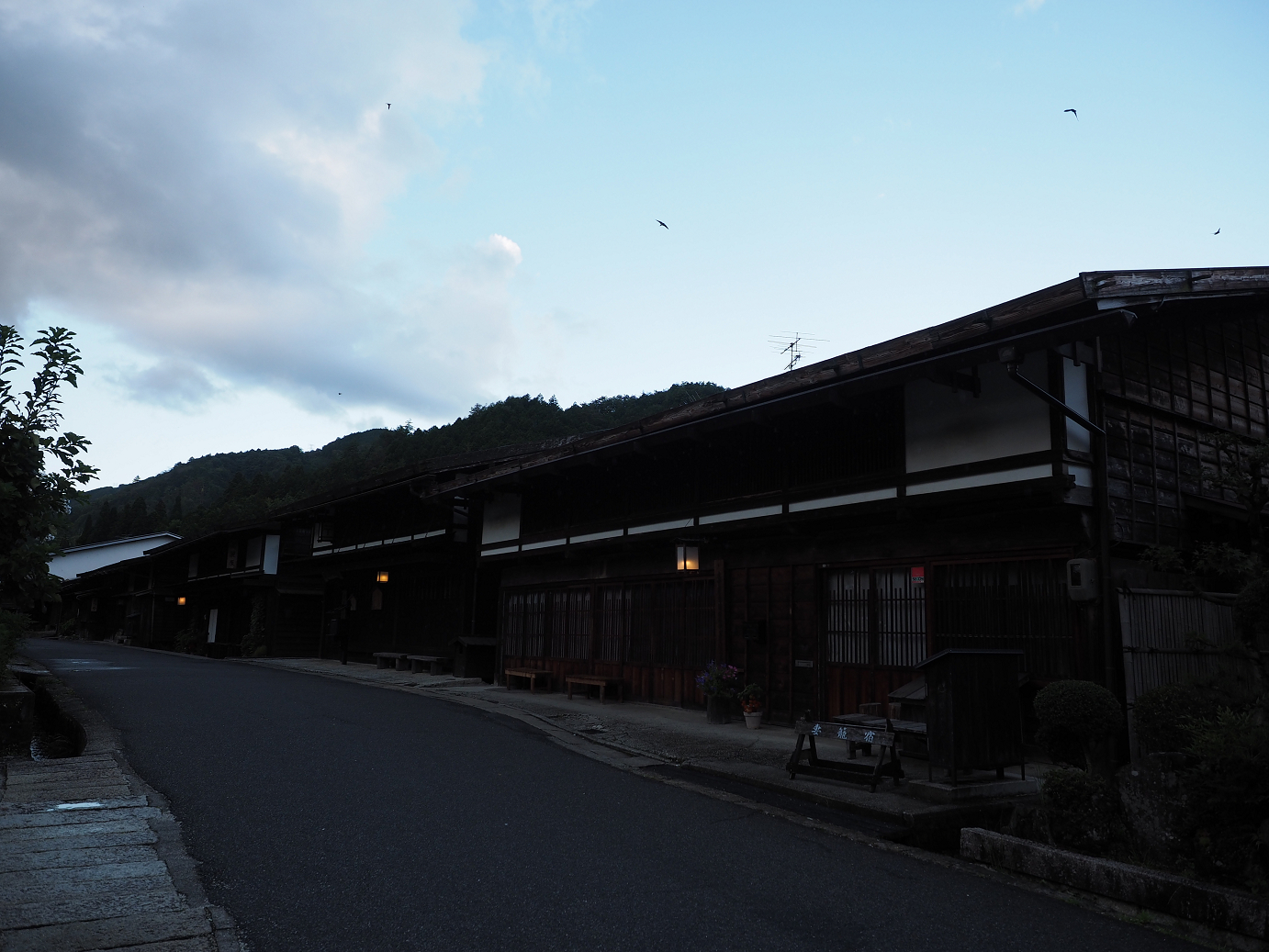 P8260159.jpg