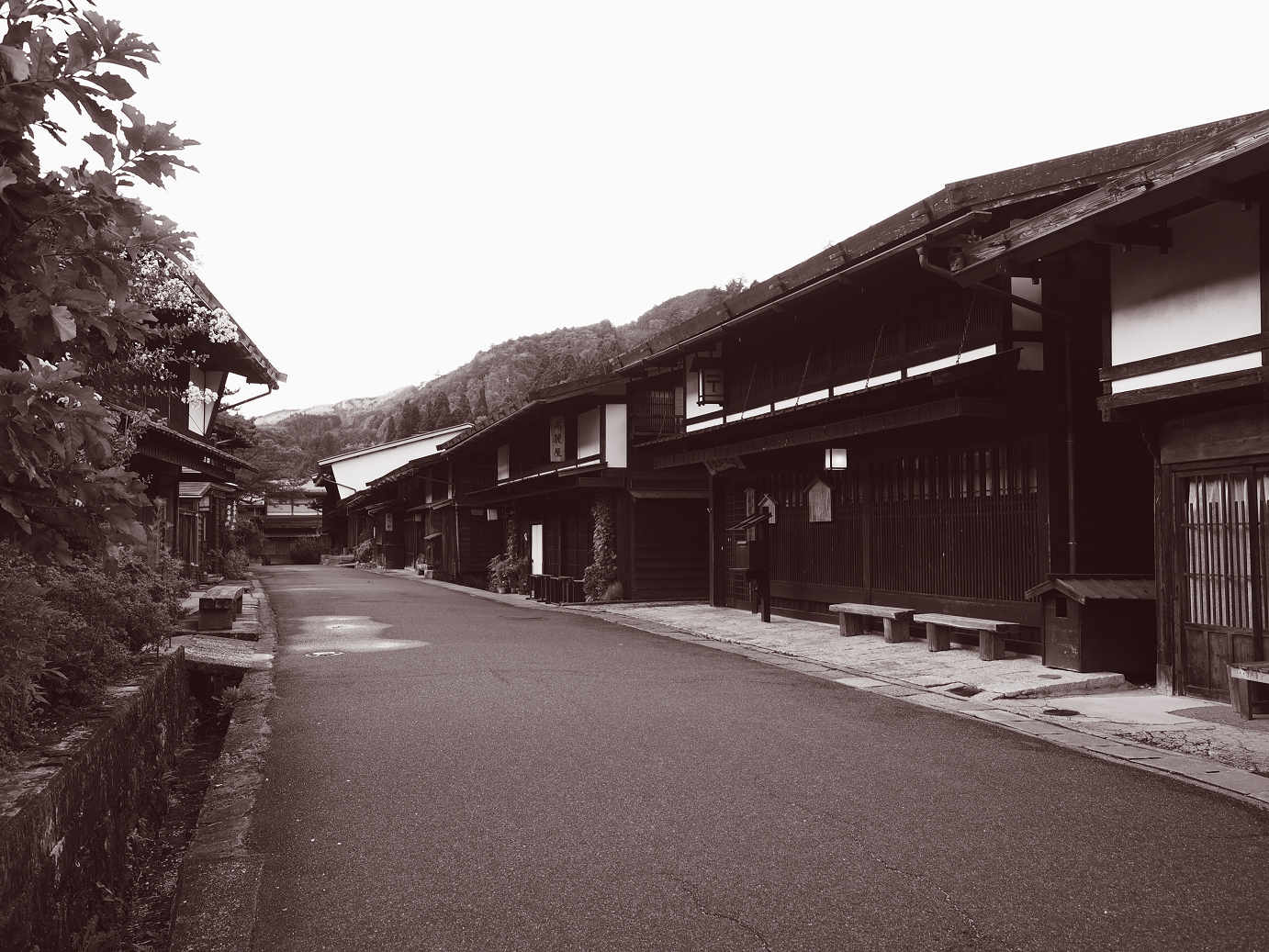 P8260161.jpg