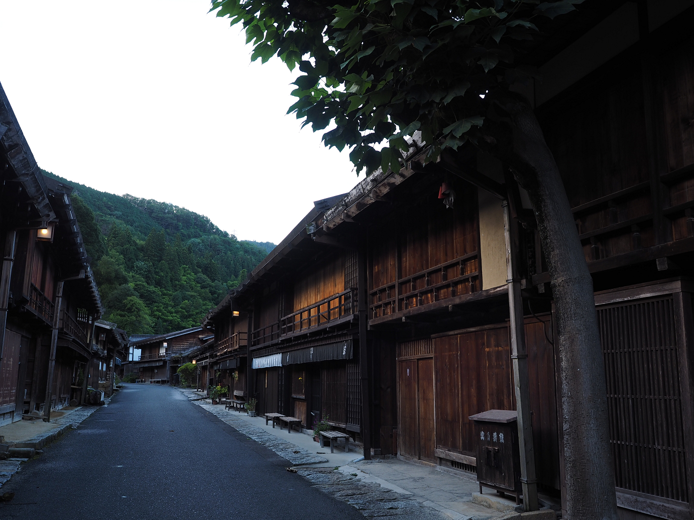 P8260190.jpg