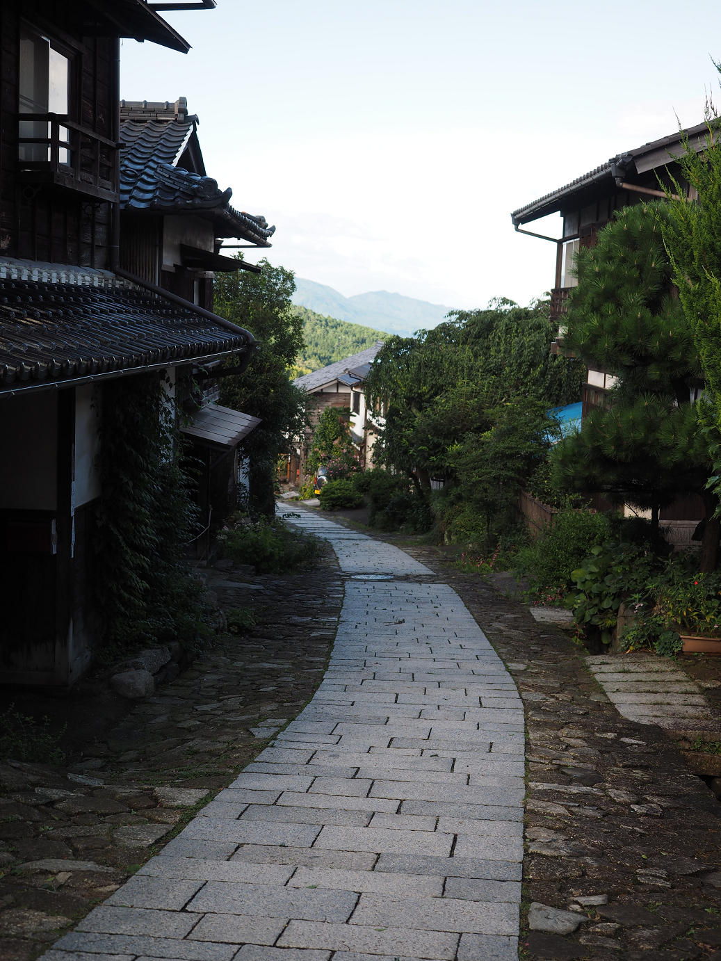 P8260230.jpg