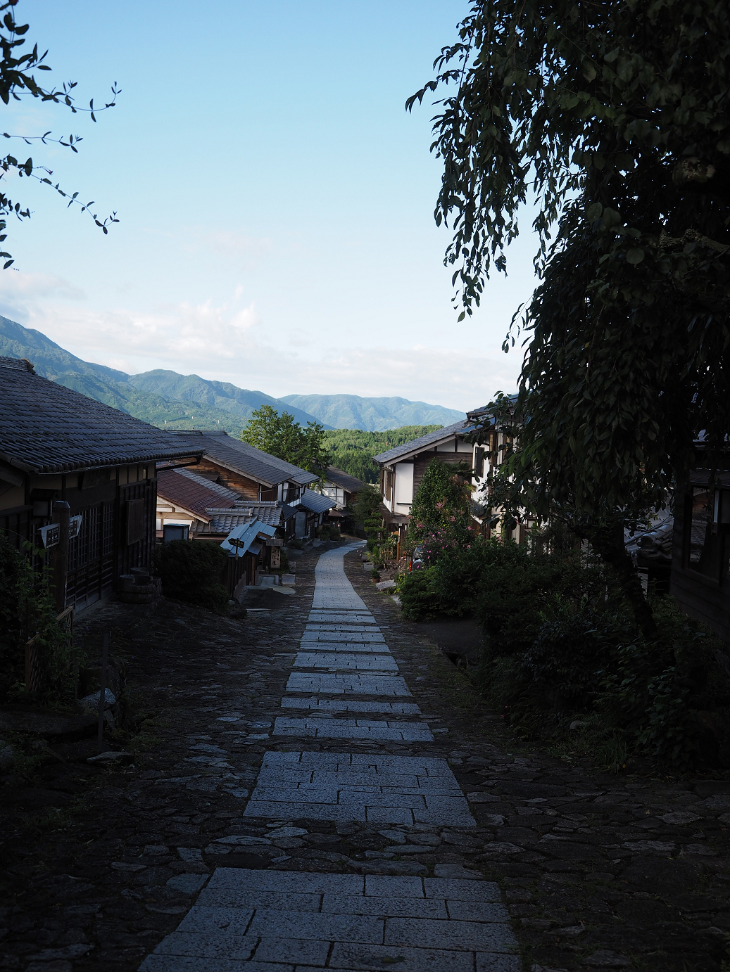 P8260234.jpg