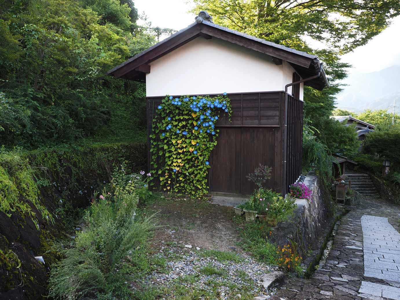 P8260260.jpg