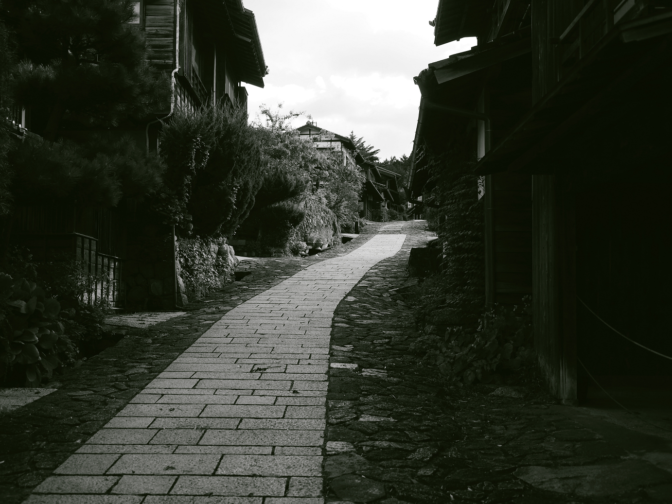 P8260318-.jpg
