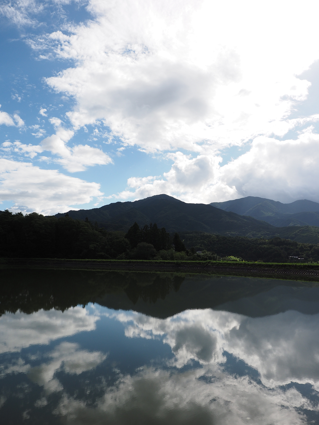 P8260350.jpg