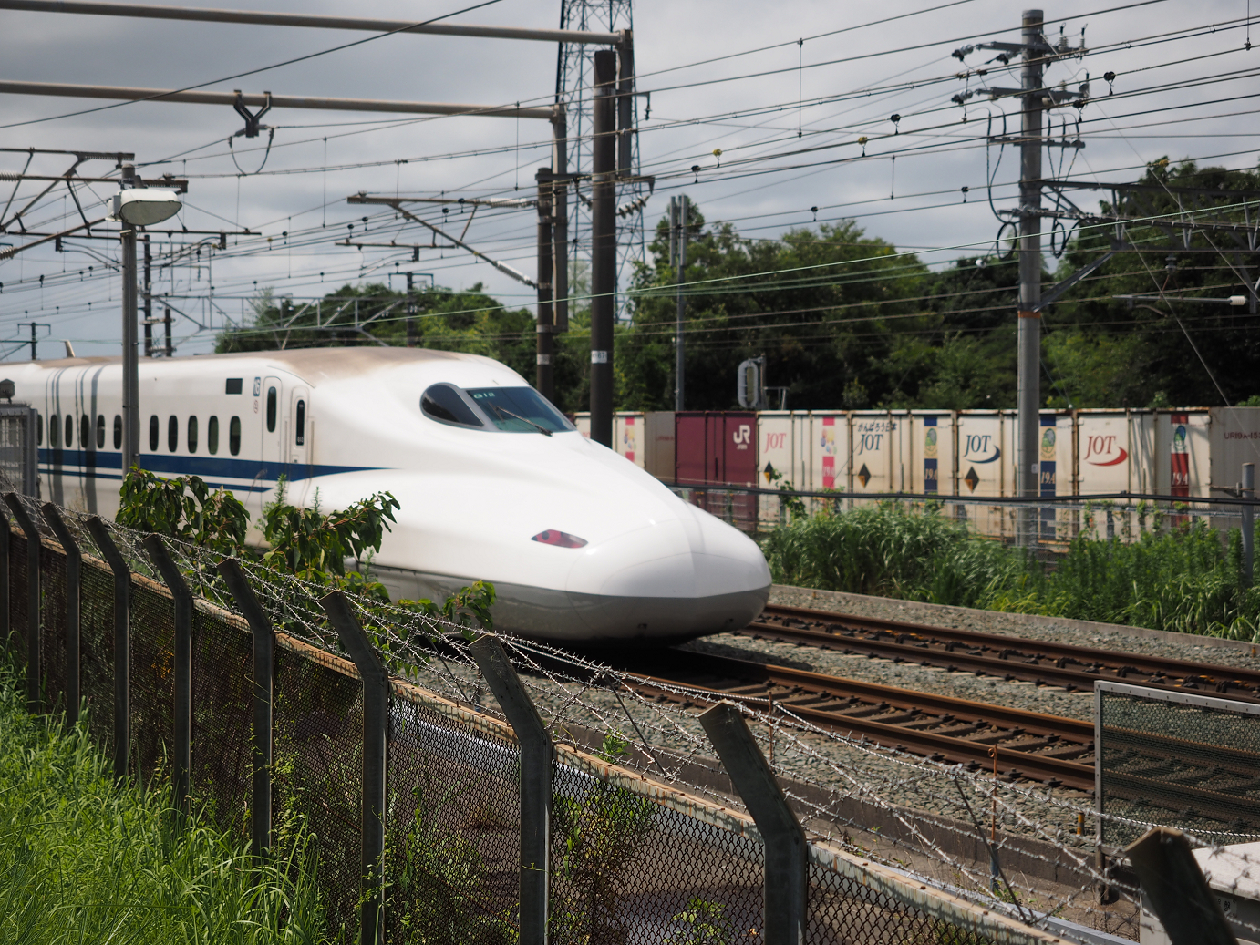 P8260401.jpg