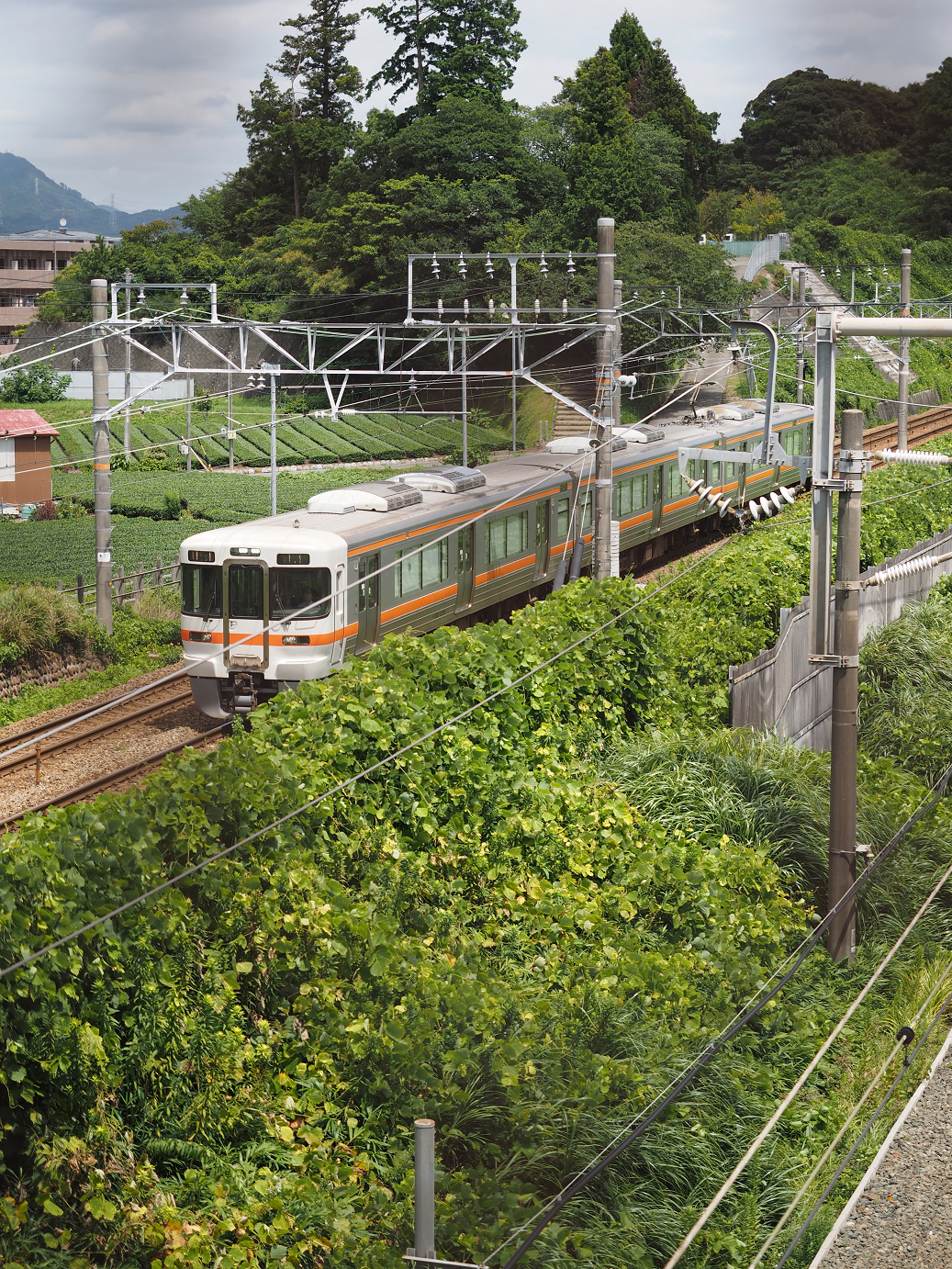 P8260424.jpg