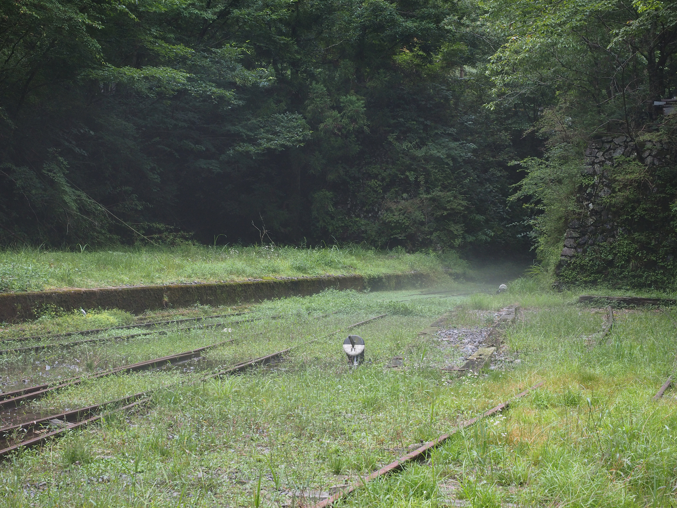 P8260486.jpg